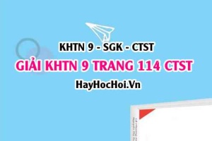 Giải KHTN 9 trang 114 Chân trời sáng tạo SGK